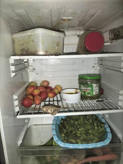pell fridge very cool