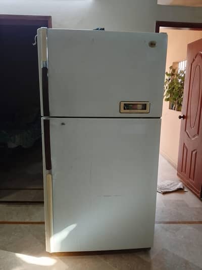 LG full size fridge and freezer