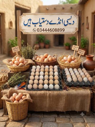 Desi eggs (03444608899)