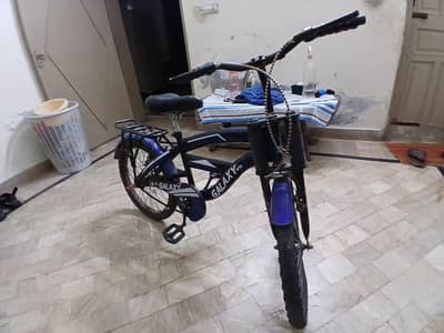 12 years kids cycle