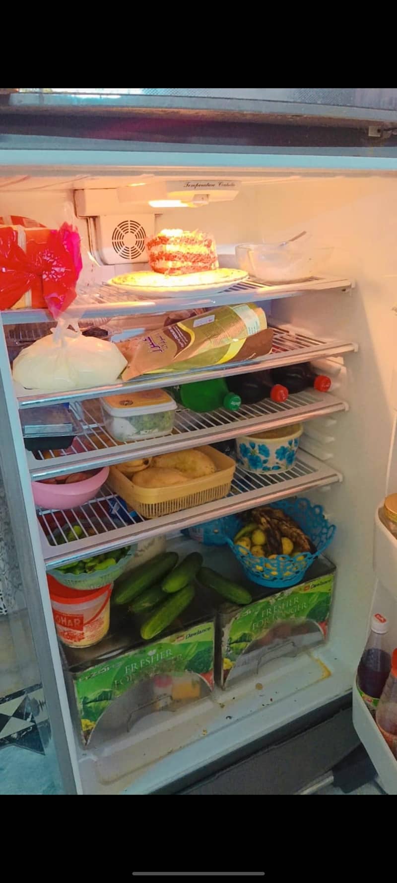 Fridge 4
