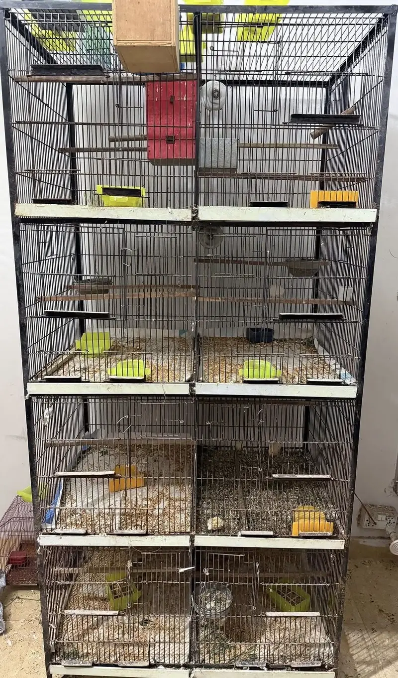 Iron Cage and Birds Accessories — photo 2