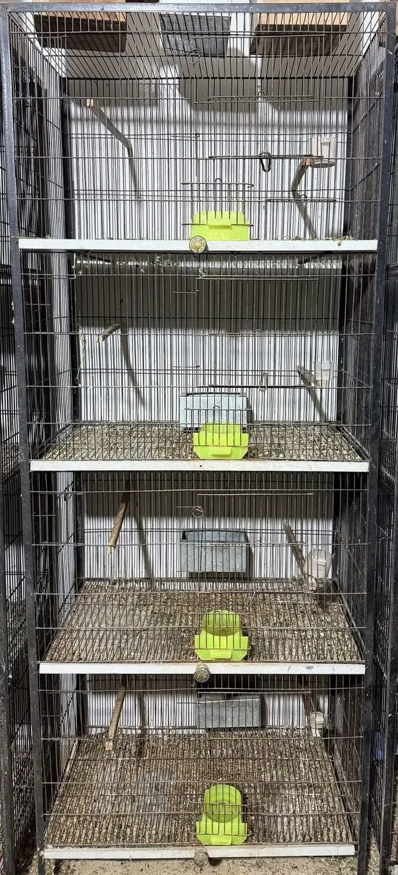 Iron Cage and Birds Accessories — photo 3