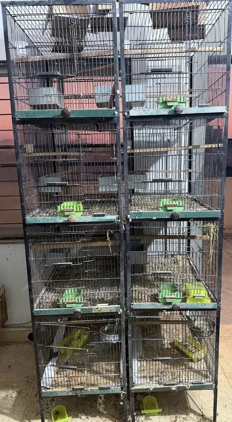 Iron Cage and Birds Accessories — photo 6