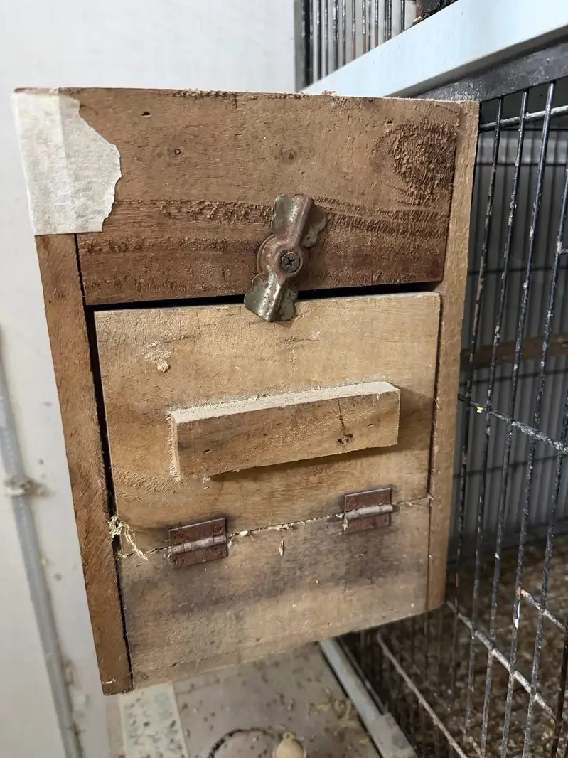 Iron Cage and Birds Accessories — photo 7
