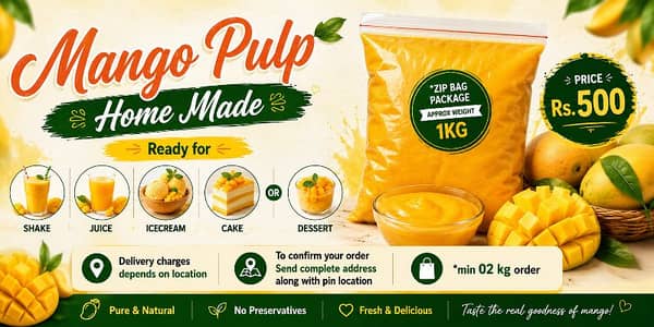 Mango pulp-home made