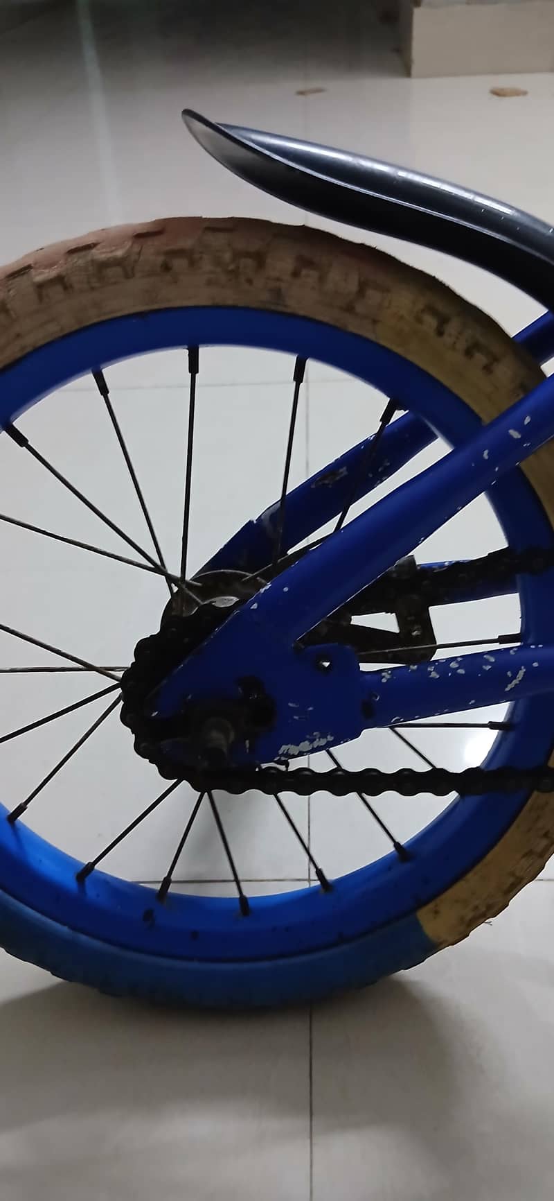 cycle 1
