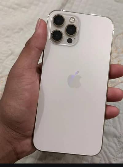 Apple iPhone 12 Pro Max