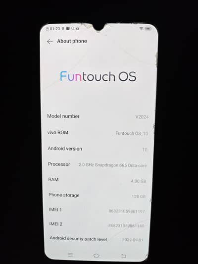 Vivo V20