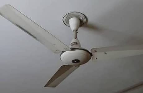 3 fans available