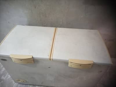 waves 2 door Deep freezer