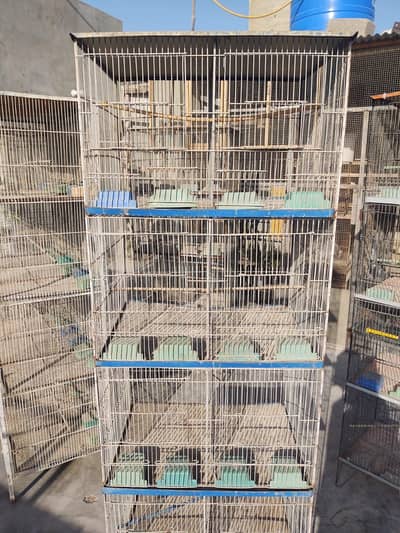 8 Portions Cage