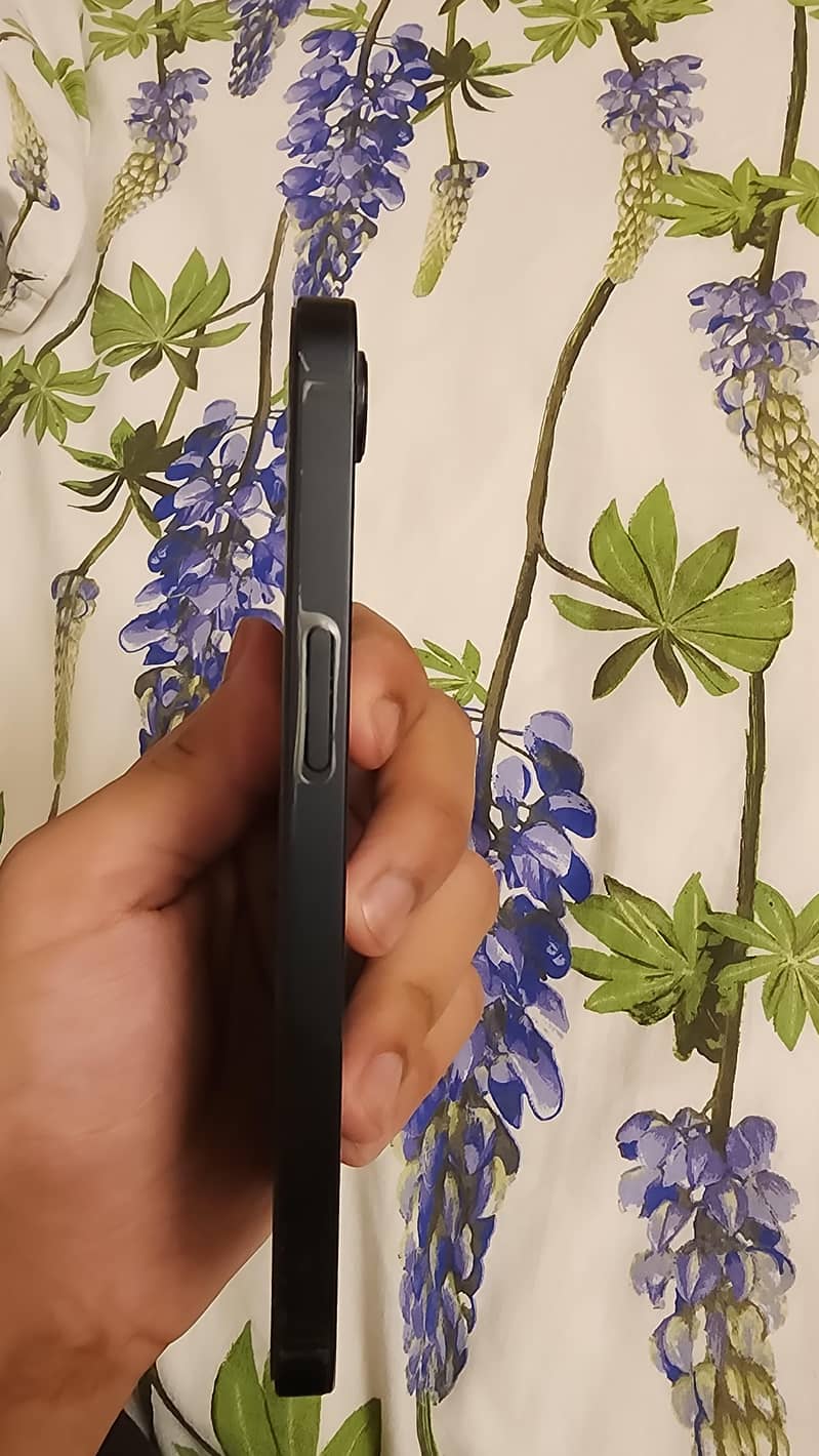 Apple iPhone 16e 12