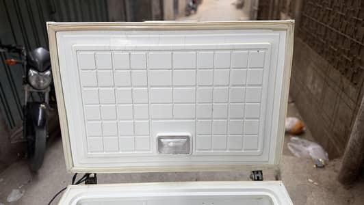 Waves Single Door Deep Freezer