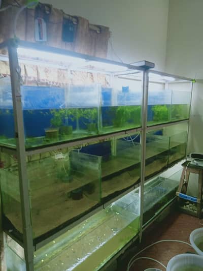 aquarium setup for sale.