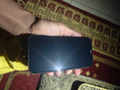 Apple iPhone 12 Pro