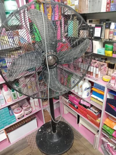 24 inch pedistal fan