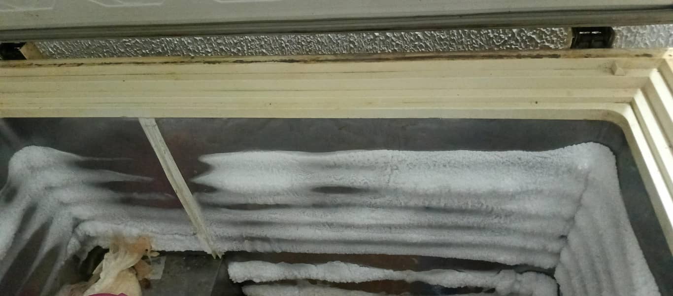 working table & frezer 0