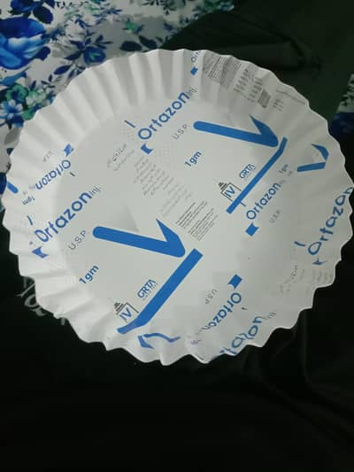 Disposable plate