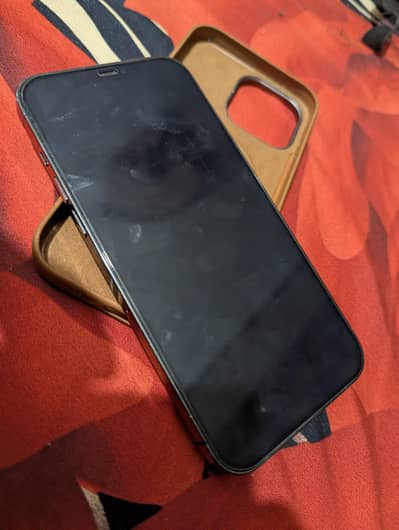 Apple iPhone 12 Pro Max