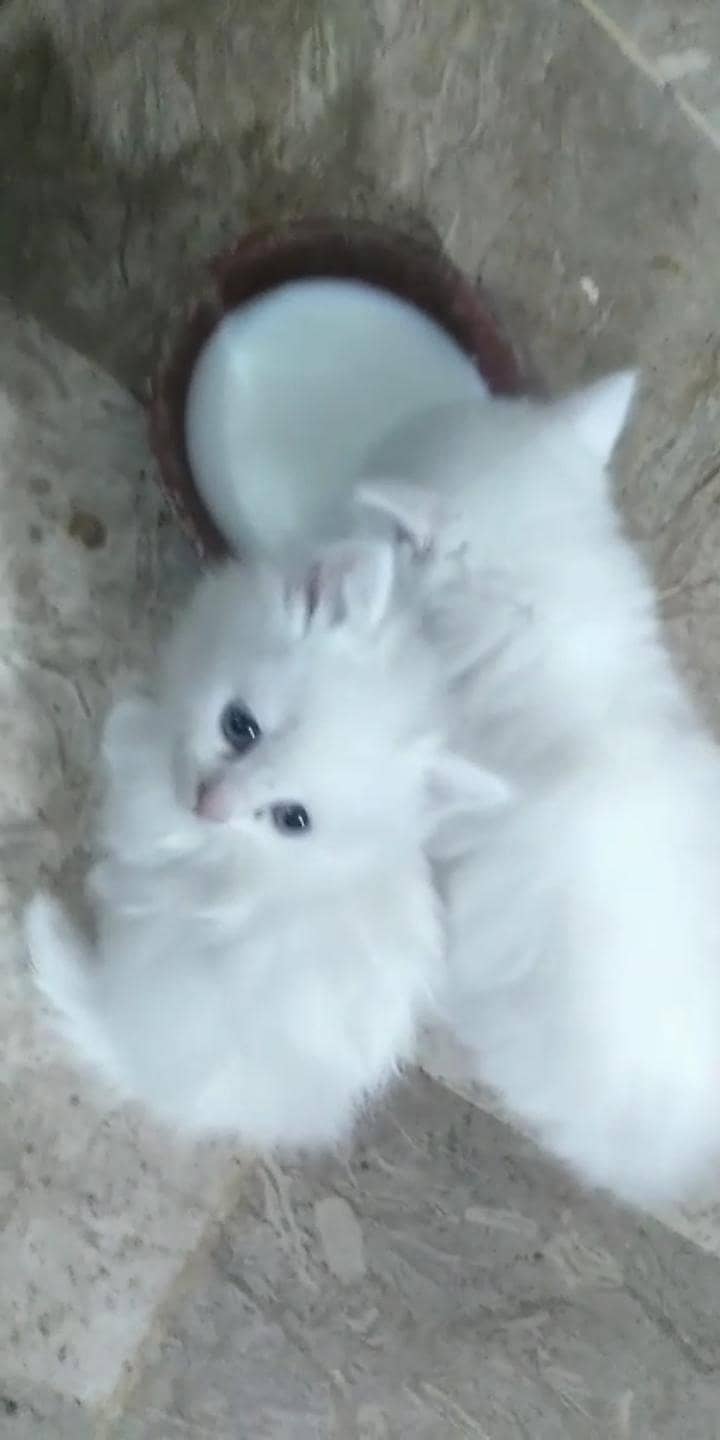 One Month 0