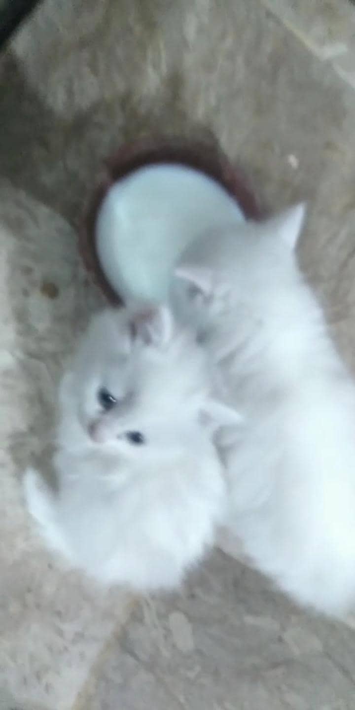 One Month 2