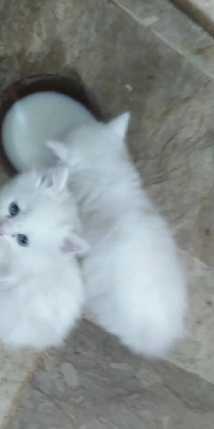 One Month 3