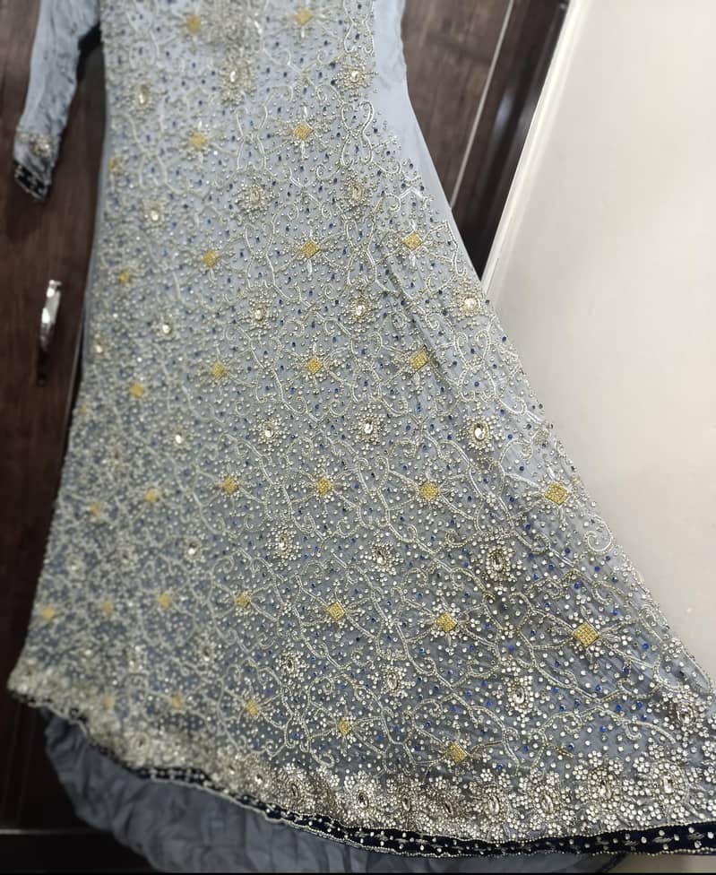 long tail maxi 2