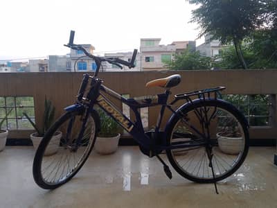 Regular Bicycle
