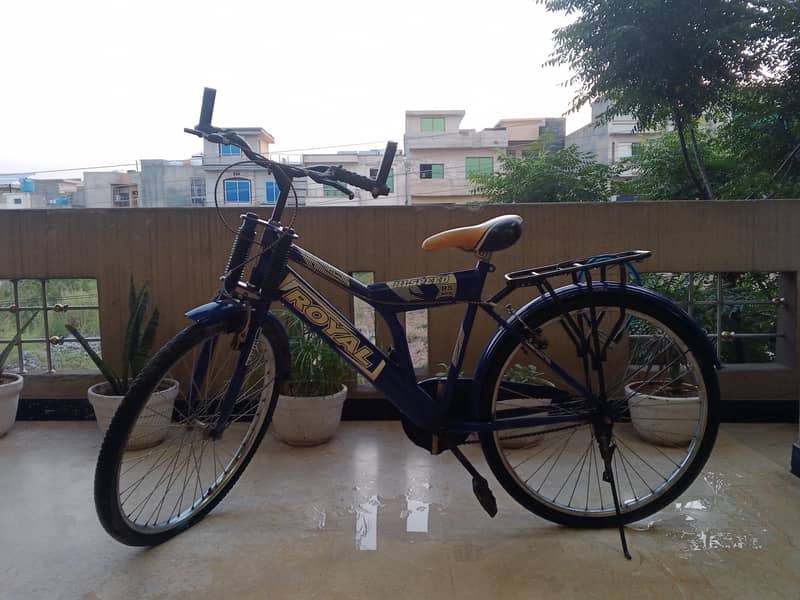 Regular Bicycle 0