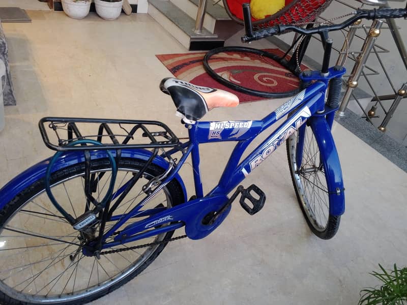 Regular Bicycle 1