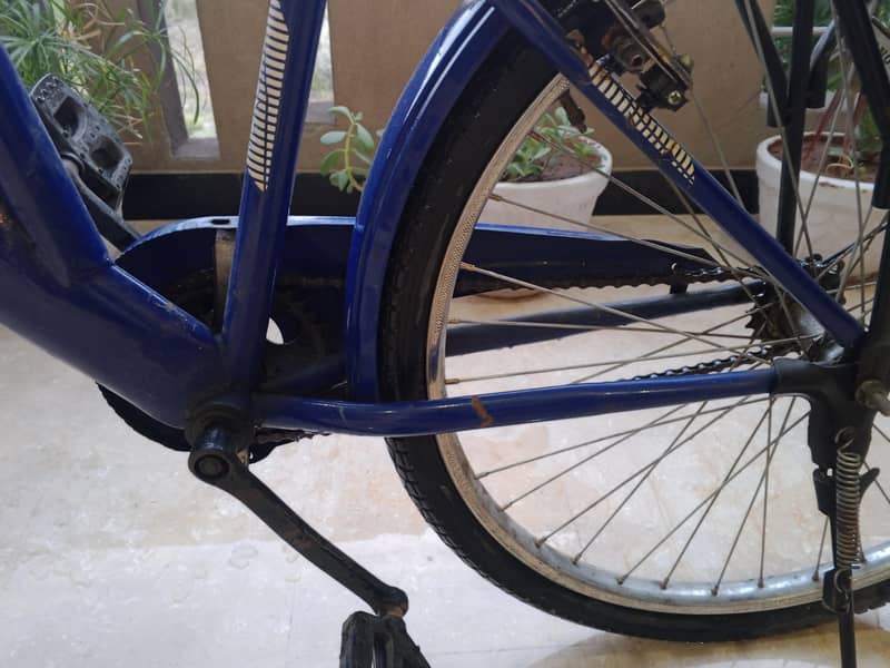 Regular Bicycle 3