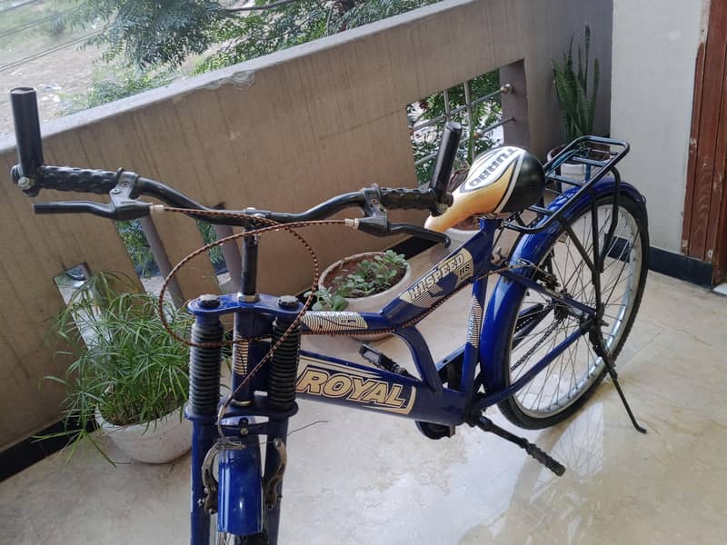 Regular Bicycle 4