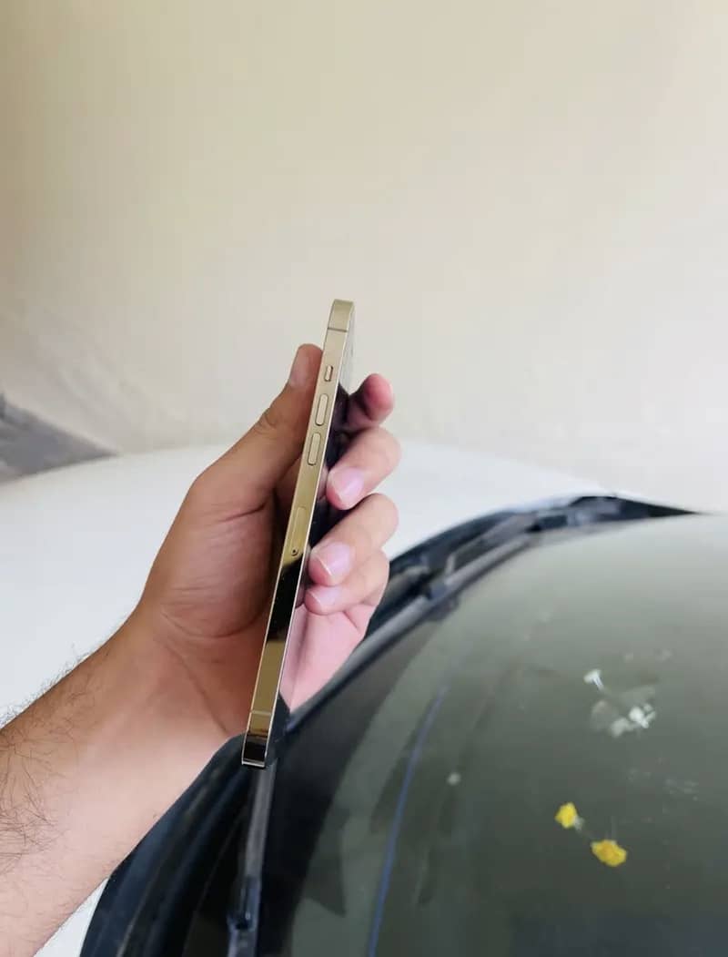 Apple iPhone 12 Pro Max 1