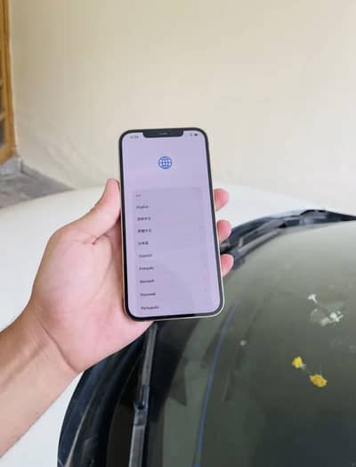 Apple iPhone 12 Pro Max