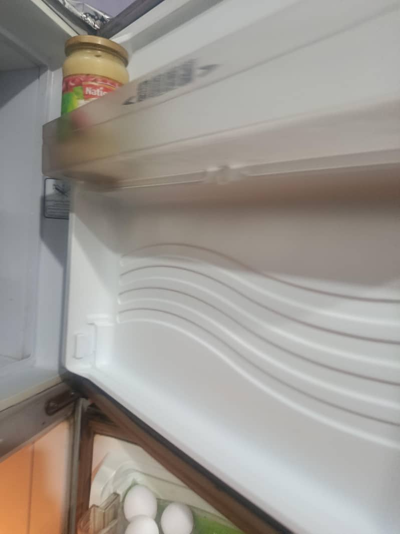 fridge 5