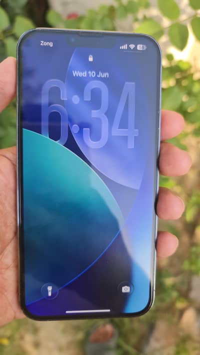 Apple iPhone 13 Pro Max