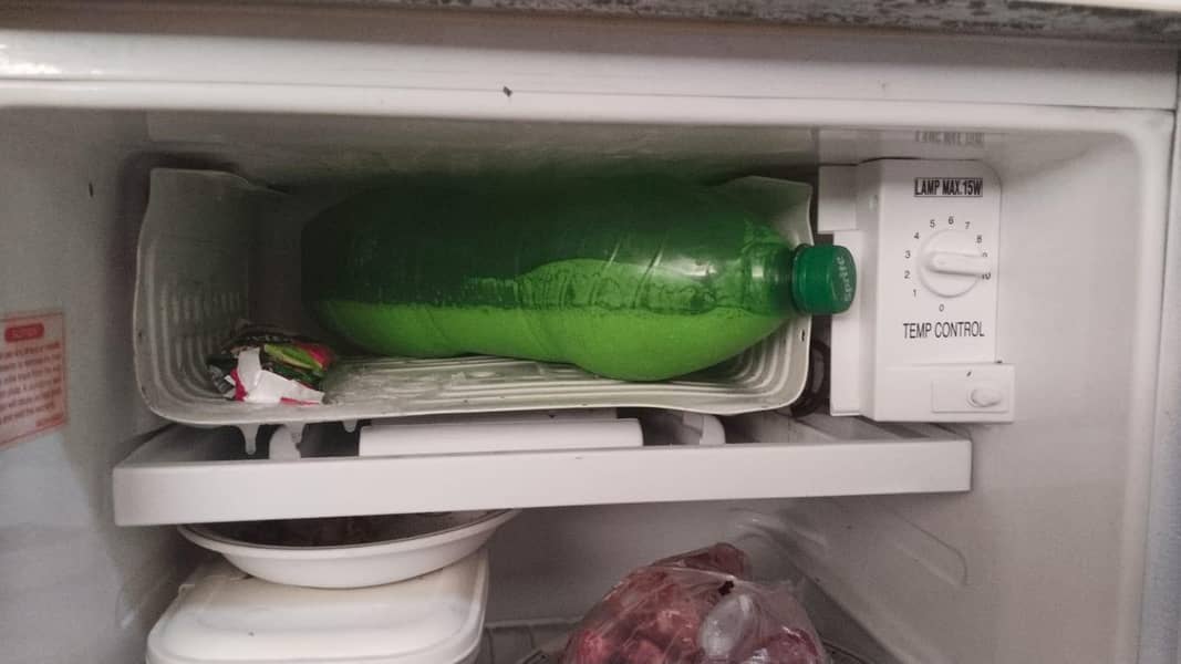Fridge Mini 1