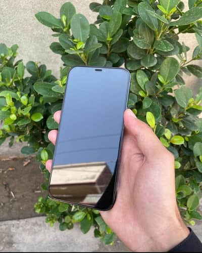 Apple iPhone 12 Pro Max