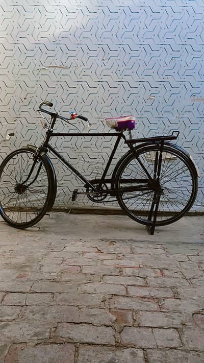 phoenix Cycle