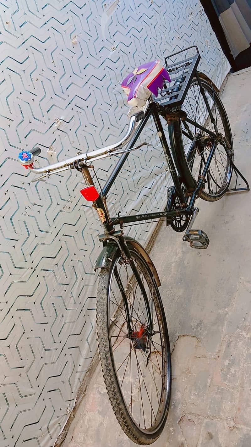 phoenix Cycle 1