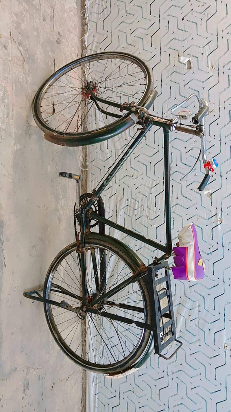 phoenix Cycle 2
