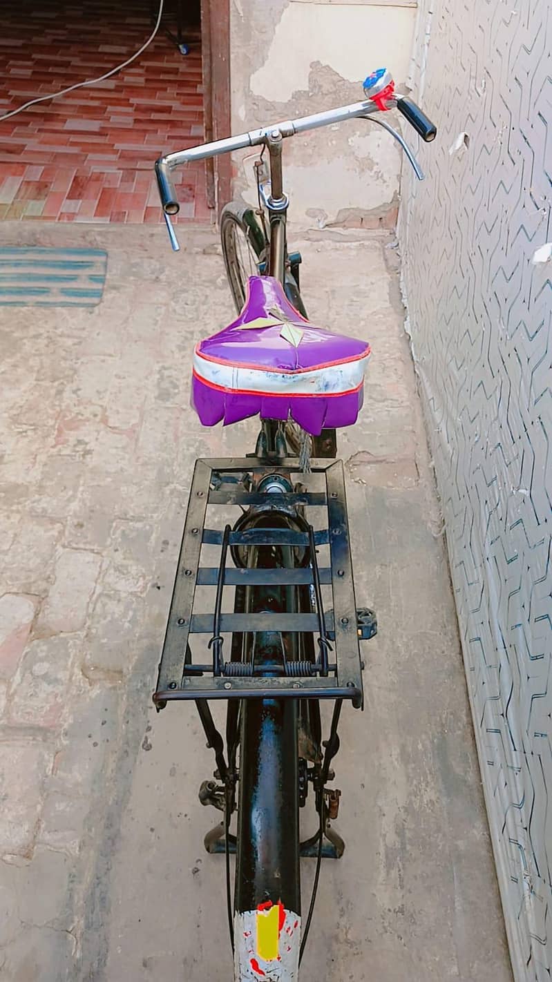 phoenix Cycle 5