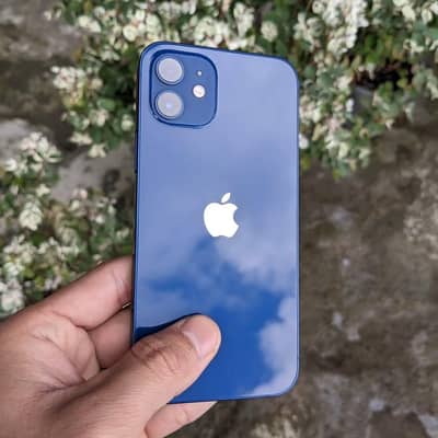 iPhone 12 in Lush Condition