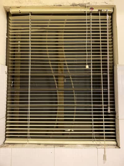 window blinds