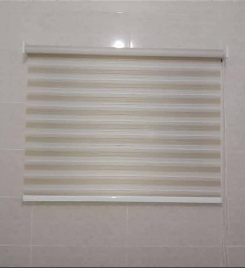 window blinds 2