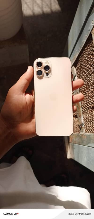 Apple iPhone 12 Pro Max