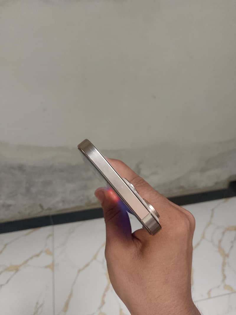 Apple iPhone 16 Pro Max 1