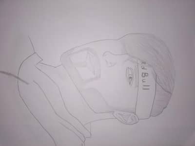 Professional Portrait Artist &  Realistic Sketch Artist