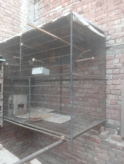 cages for sale